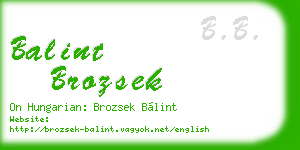 balint brozsek business card